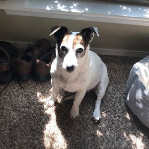 BUY THIS WHOLE CLOSET NOW $150 NO CO’S BUYER PSHIP